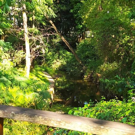 Moderno Y Luminoso 2 Dormitorios Con Todas Las Comodidades En Pontevedra Ciudad Zewnętrze zdjęcie